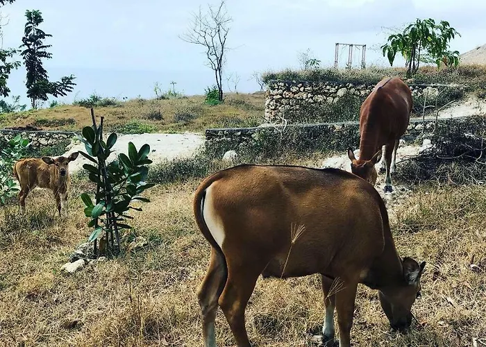 Quarto em Acomodações Particulares The Ulus Klumpu Uluwatu